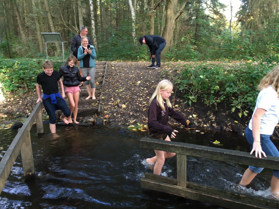 Vierhundert-Wasser-Barfußpfad-Bad Bodenteich必去景点