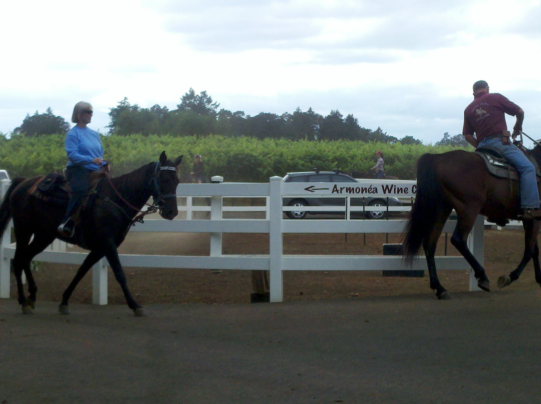 Equestrian Wine Tours-Carlton必去景点