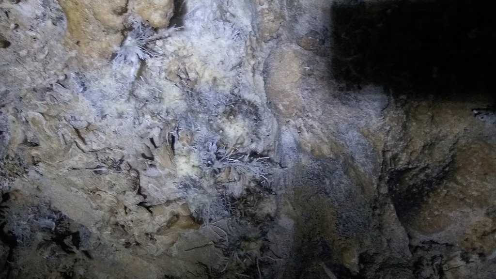 Caverna do Cafezal-伊波兰加必去景点