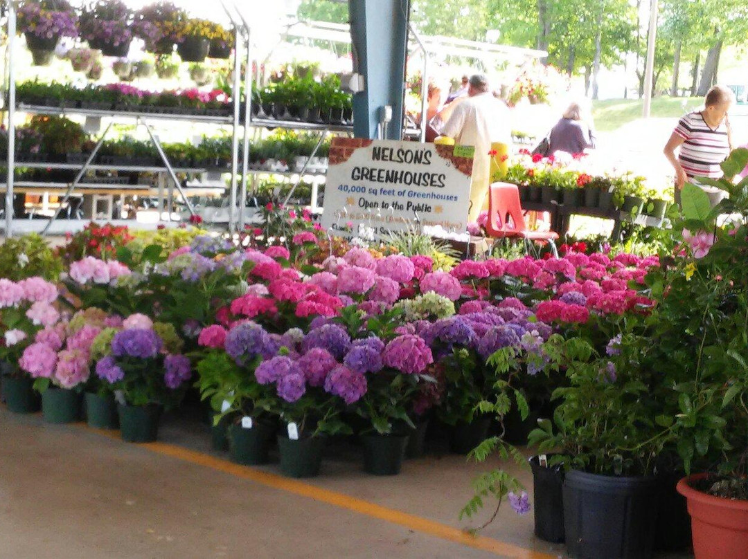 Piedmont Triad Farmers Market景点图片