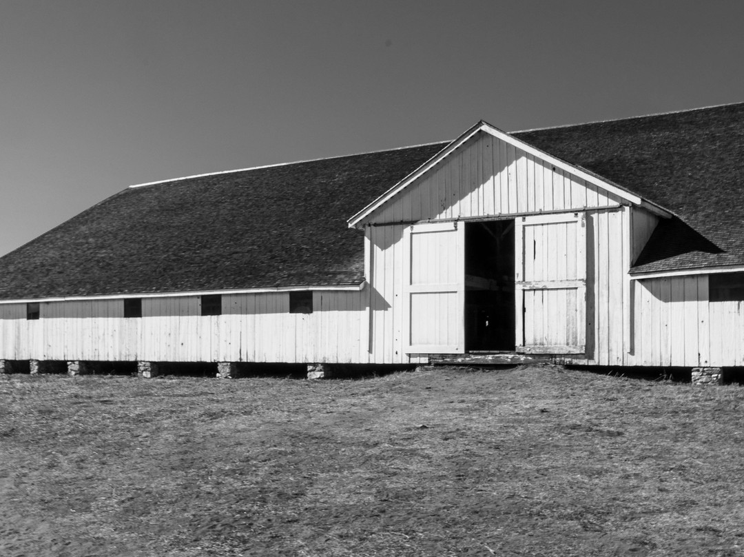 Tule Elk Preserve-Point Reyes National Seashore必去景点