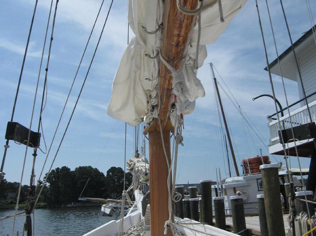Chesapeake Skipjack Sailing Tours-圣迈克必去景点