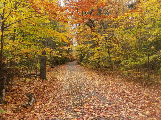 Acadia Mindfulness Adventures