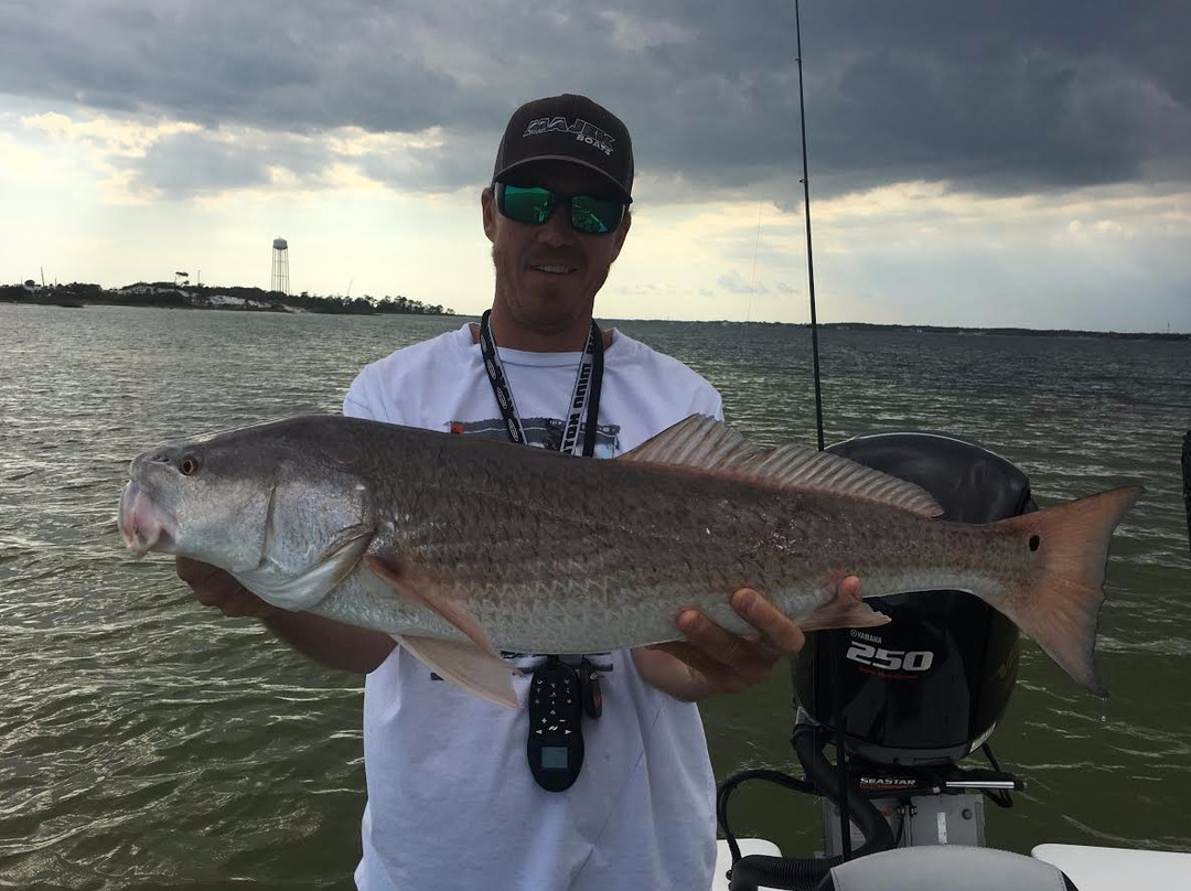 Showintail Inshore Charters Of Navarre Florida