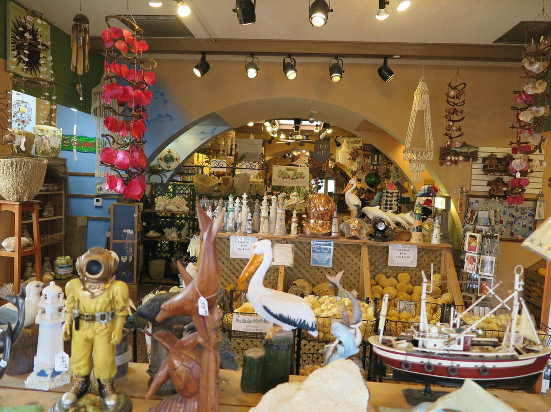 The Sponge Factory-塔彭斯普林斯必去景点