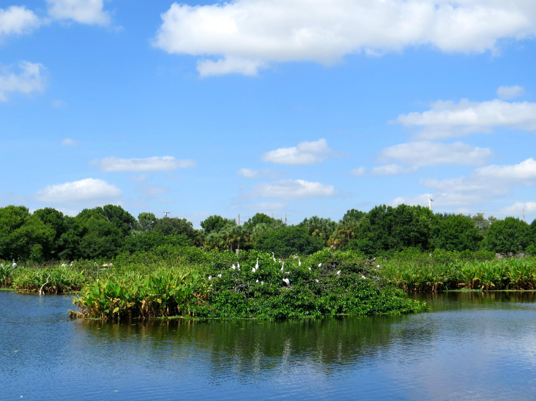 Jog Road旅游景点-Wakodahatchee Wetlands