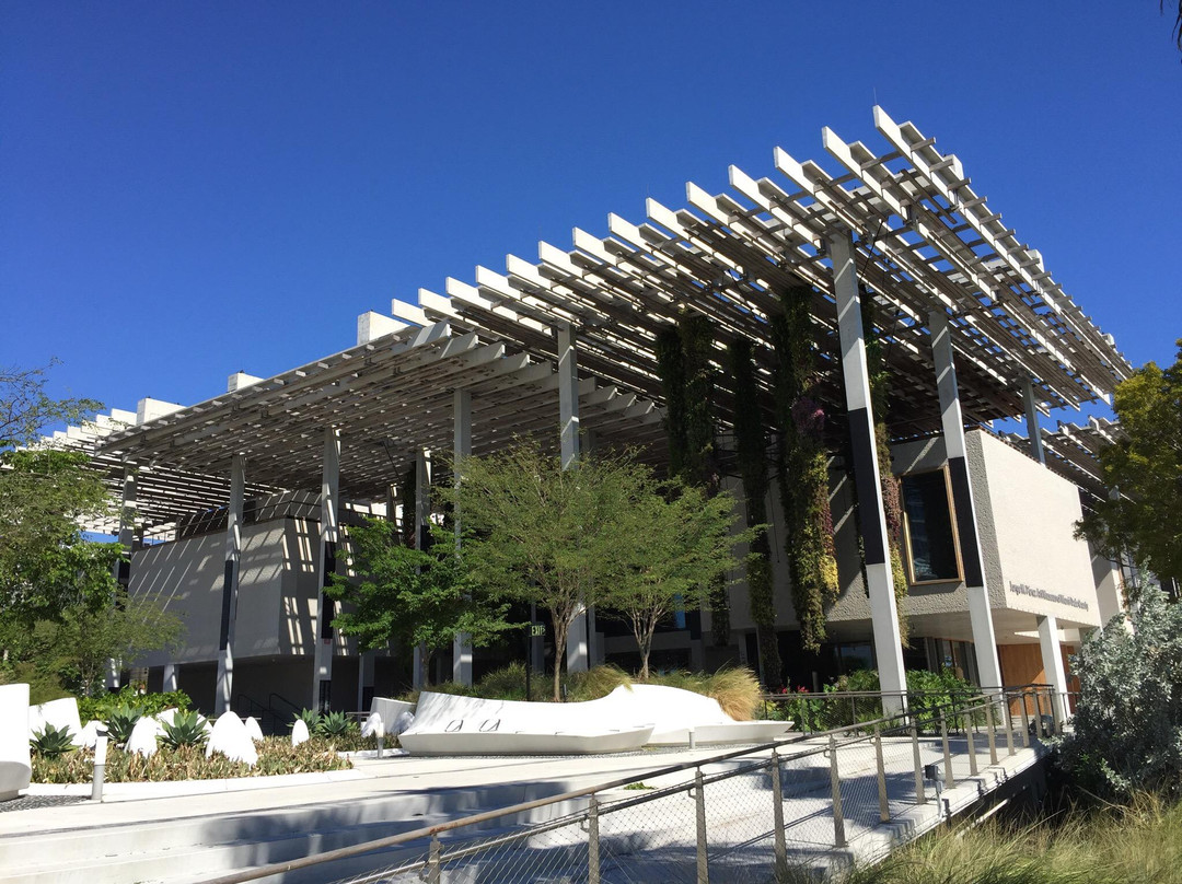 迈阿密旅游景点-迈阿密佩雷兹美术馆