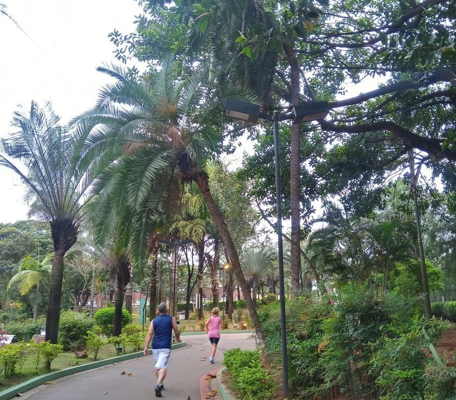 Parque Municipal Engenheiro Salvador Arena-圣贝尔纳多-杜坎普必去景点