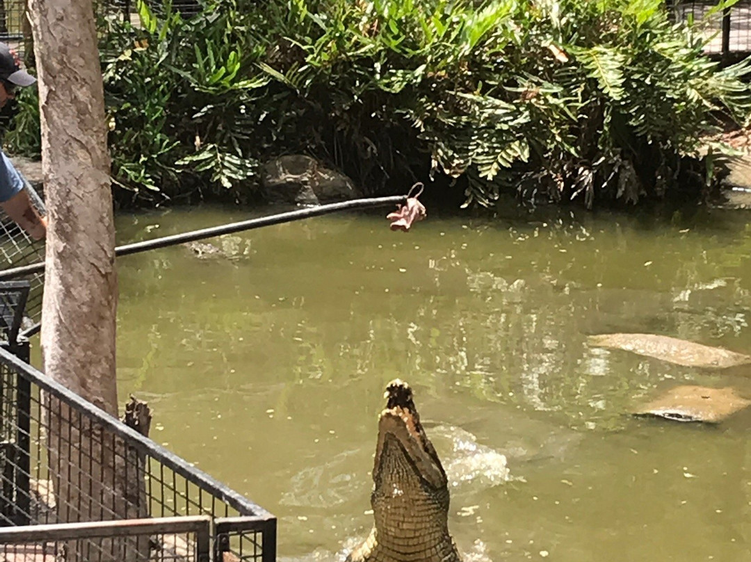 Global Travel Services-凯恩斯必去景点