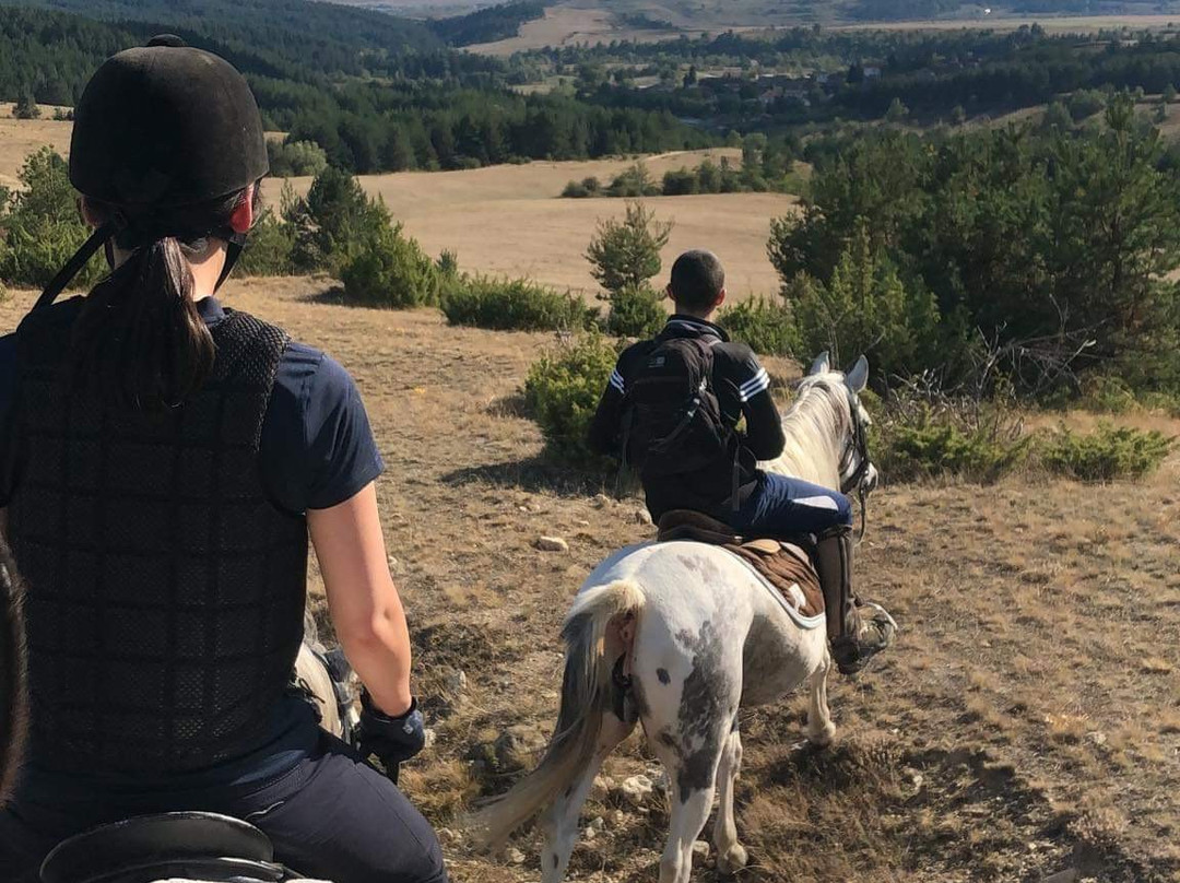 Rusaliite Adventure House主图