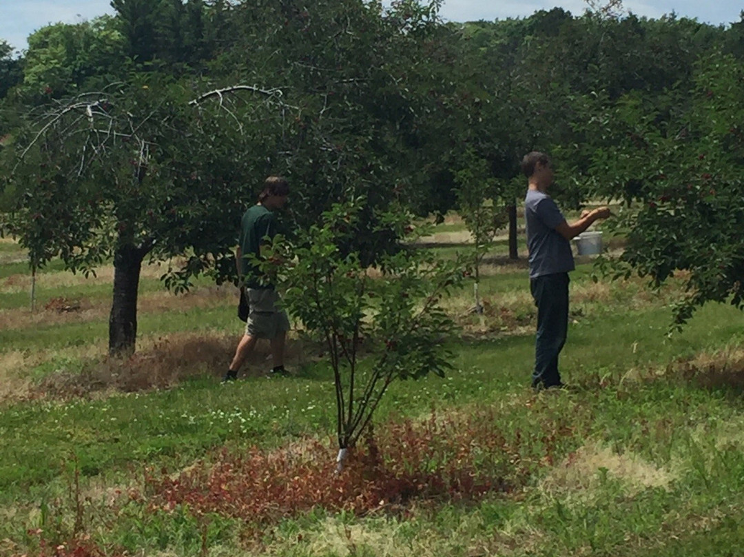 Hyline Orchard Farm Market景点图片