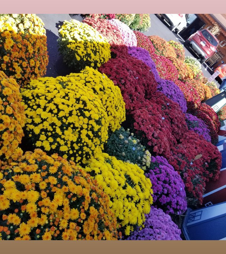 Sols In Berlin-Berlin必去景点