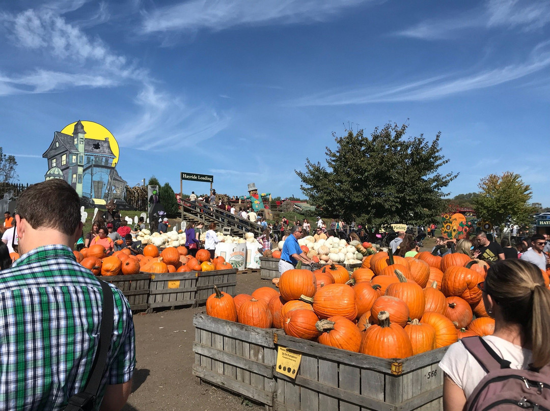 Linvilla Orchards景点图片