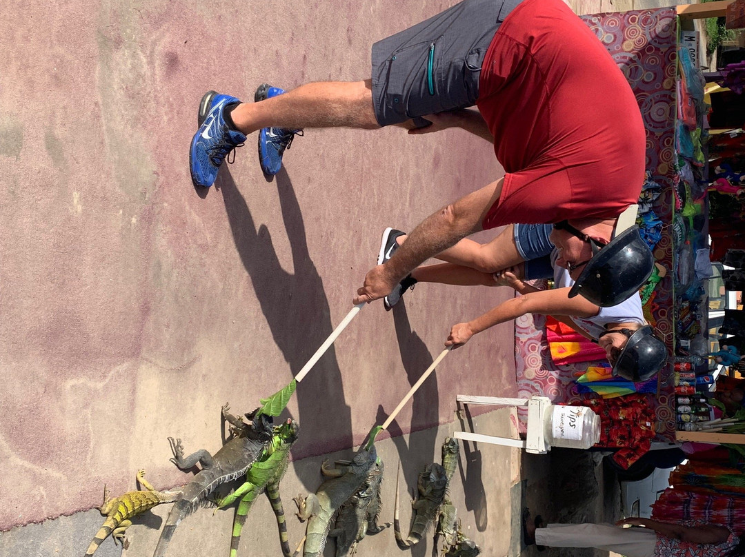 ATV Island-Pointe Blanche必去景点