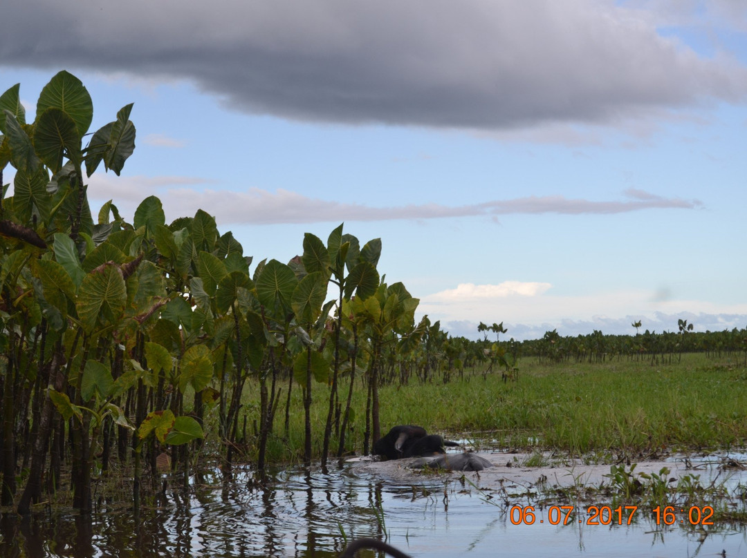 Marshes of Caw景点图片