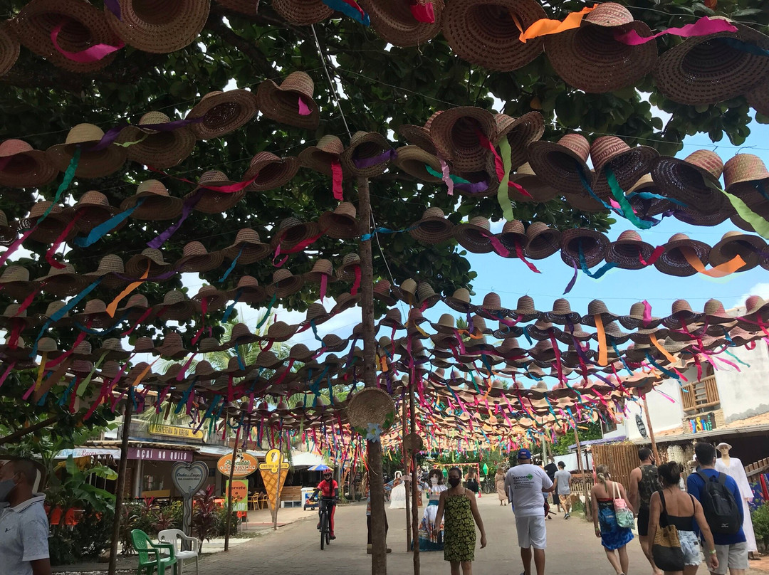 Express Receptivo & Turismo-萨尔瓦多必去景点