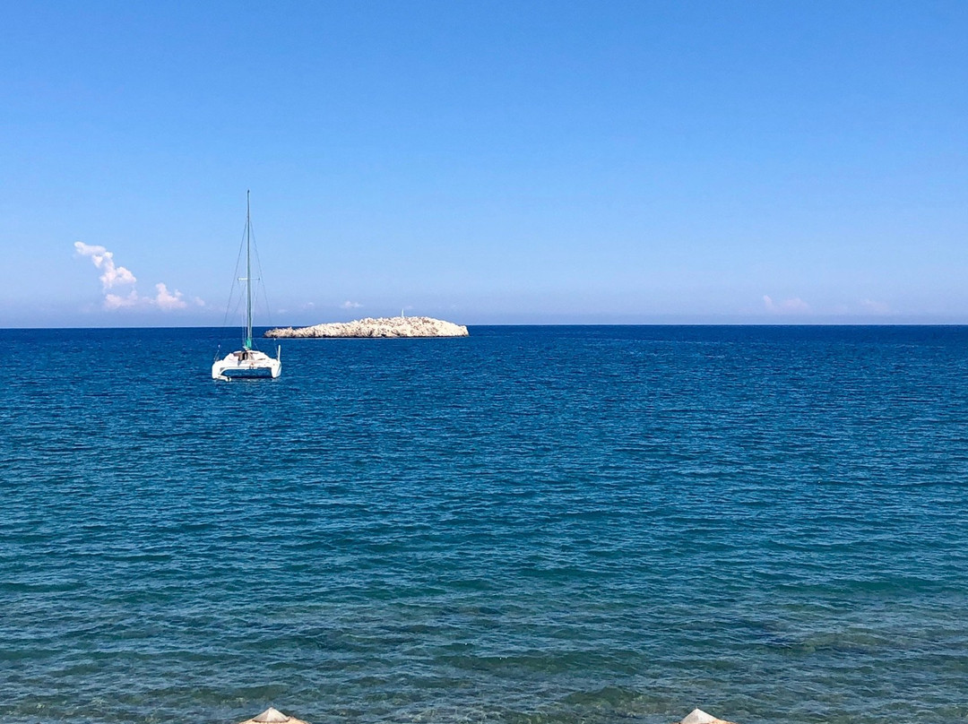 阿丽蒙德马蕾酒店主图