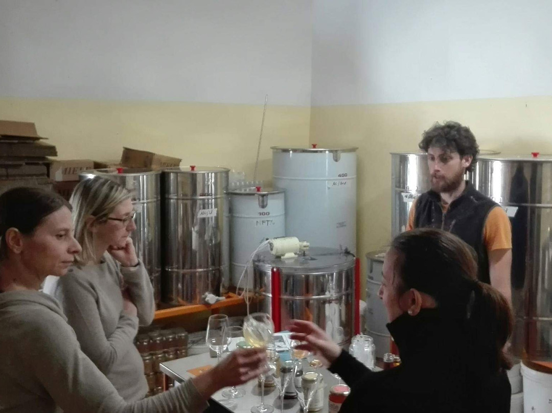 Apicoltura San Martino-巴尼奥阿里波利必去景点