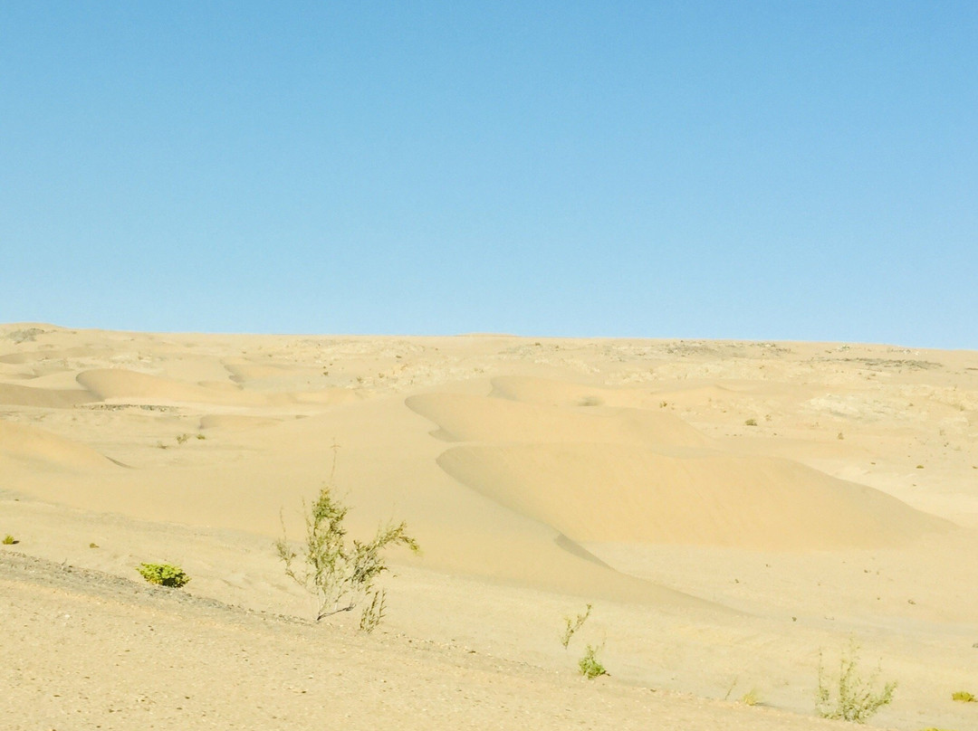 Coastways Safaris - Pomona & Bogenfels Tour-吕德里茨必去景点