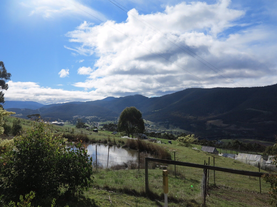 House on the Hill Country Bed and Breakfast主图