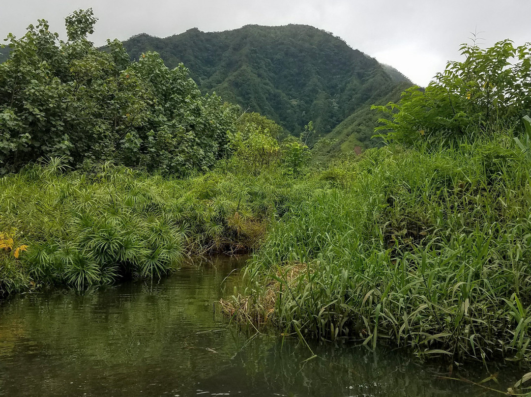 Active Oahu Tours-火奴鲁鲁必去景点
