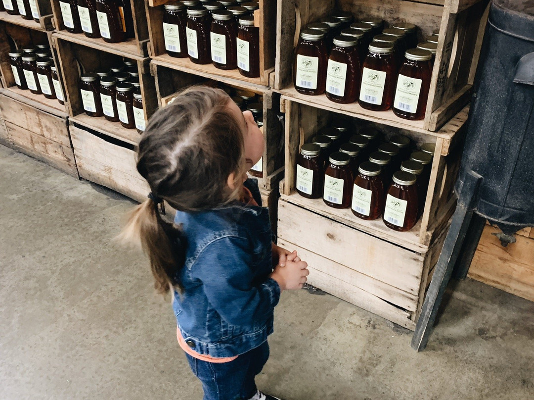 Panorama Orchards & Farm Market-Ellijay必去景点