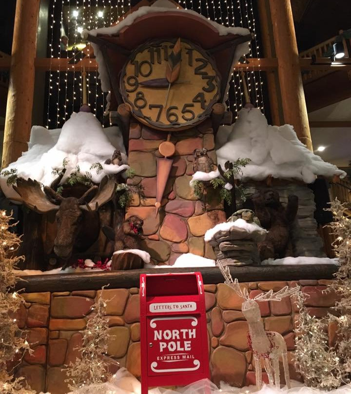 特拉弗斯城大灰狼洛奇酒店主图