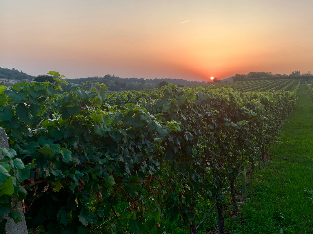 Agriturismo Relais Casina Ricchi主图