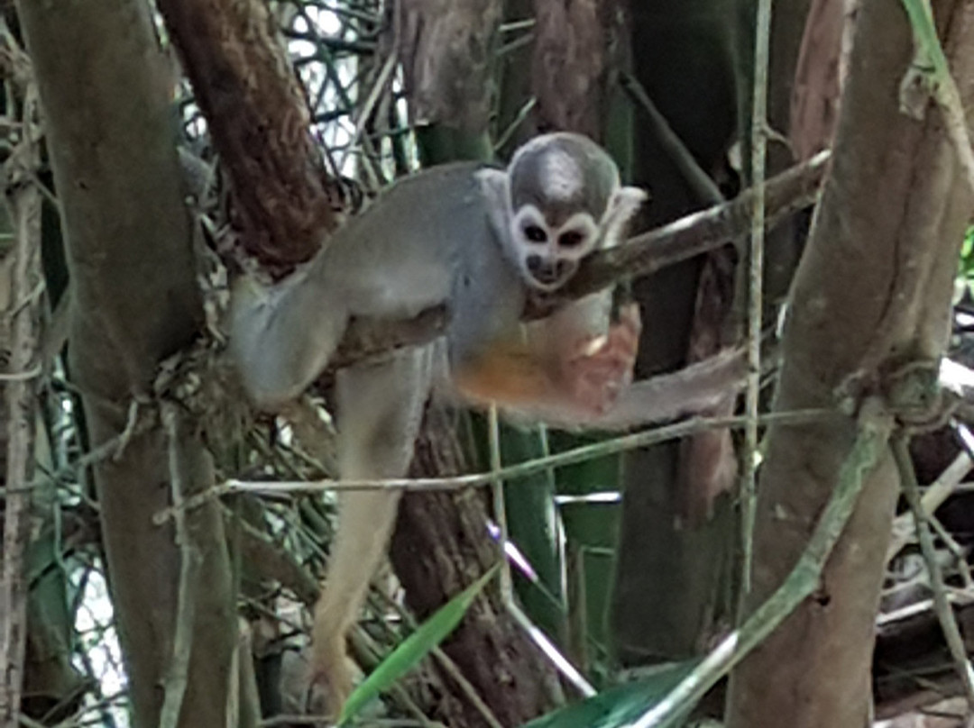 Cardy Adventures & Bike Rental-帕拉马里博必去景点