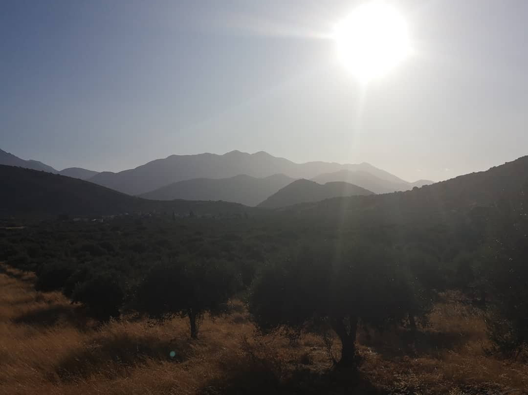 Fourni Horses-Fourni必去景点