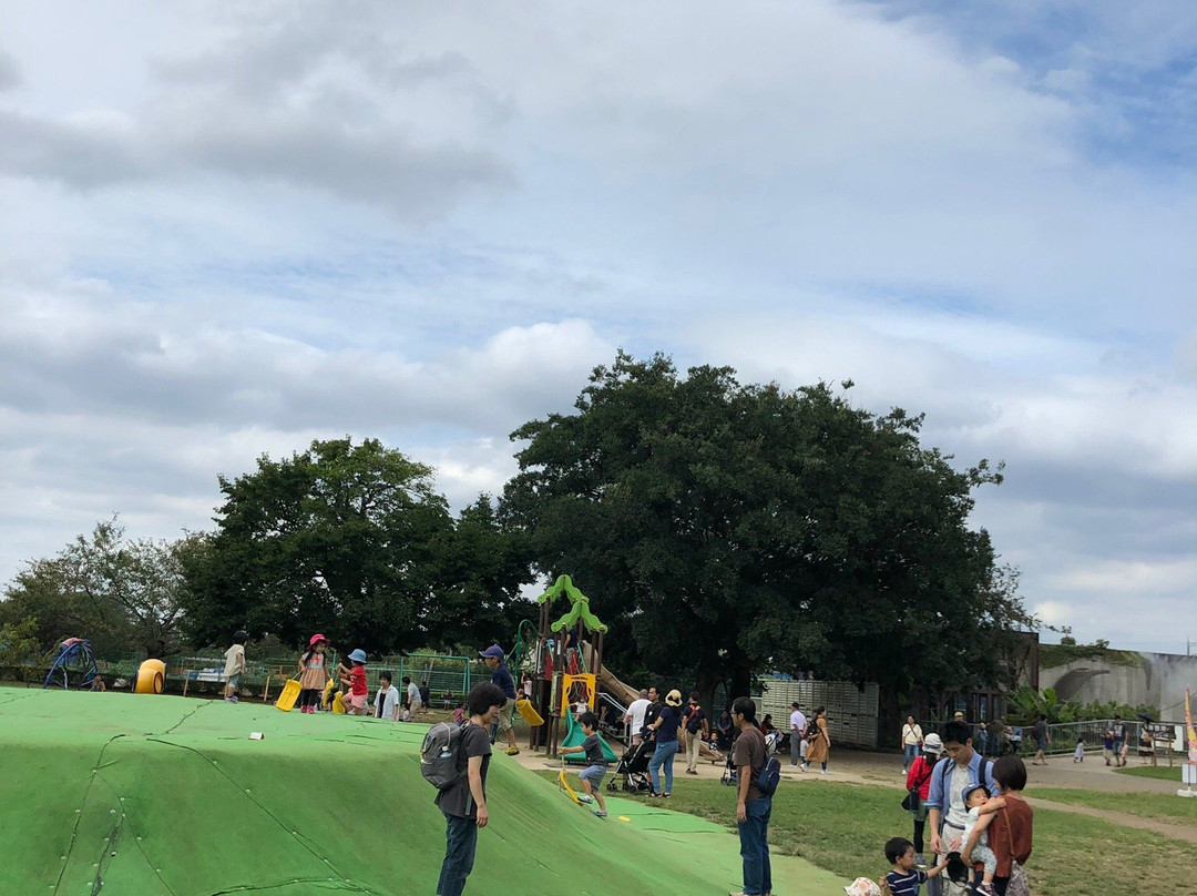 Ichikawa City Zoo-市川市必去景点