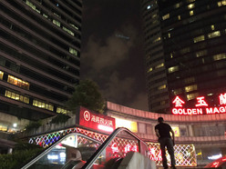 Gallery 3