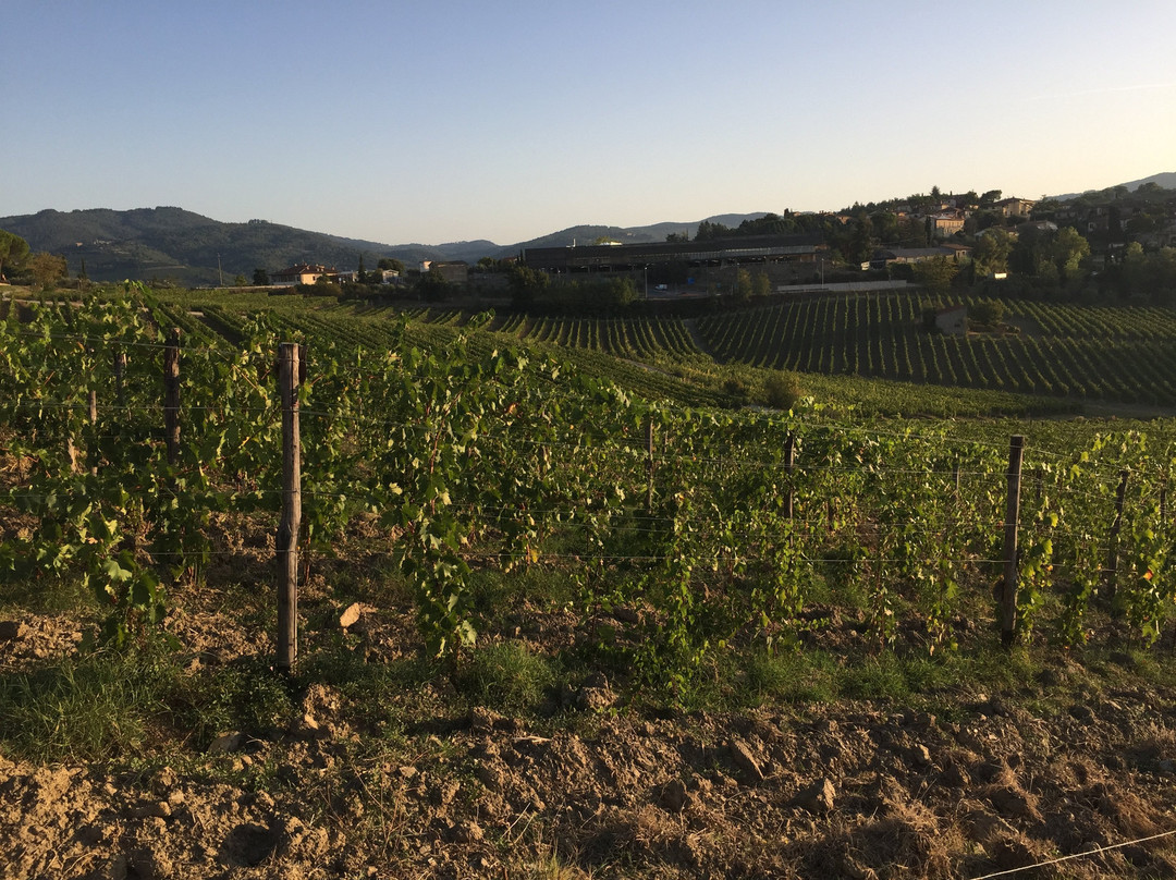 Fattoria Vignavecchia-拉达因基安蒂必去景点
