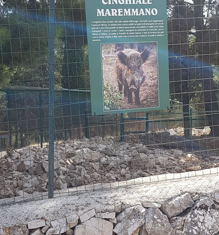 Parco Naturale Selva Reale-Ruvo Di Puglia必去景点