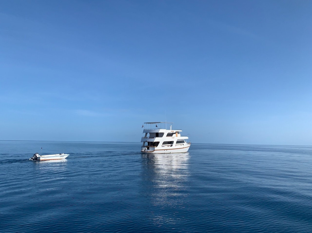 MY Sheena-菲利兹优岛必去景点