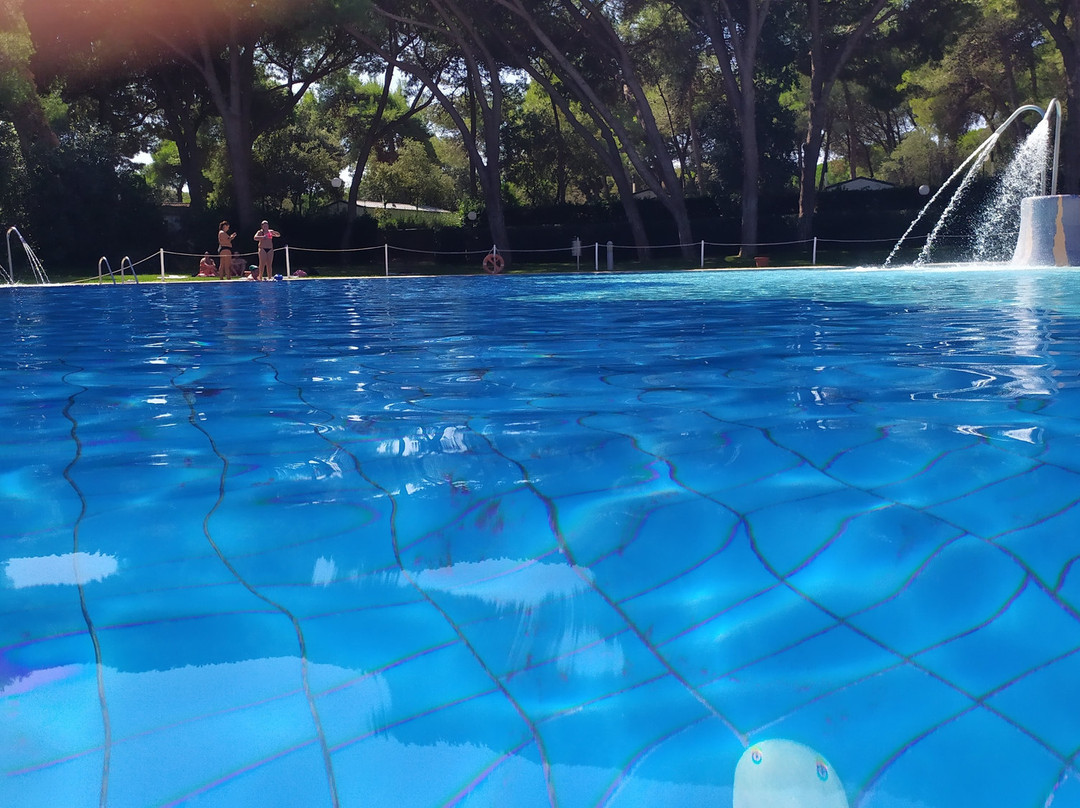 Baia Domizia Camping Village主图