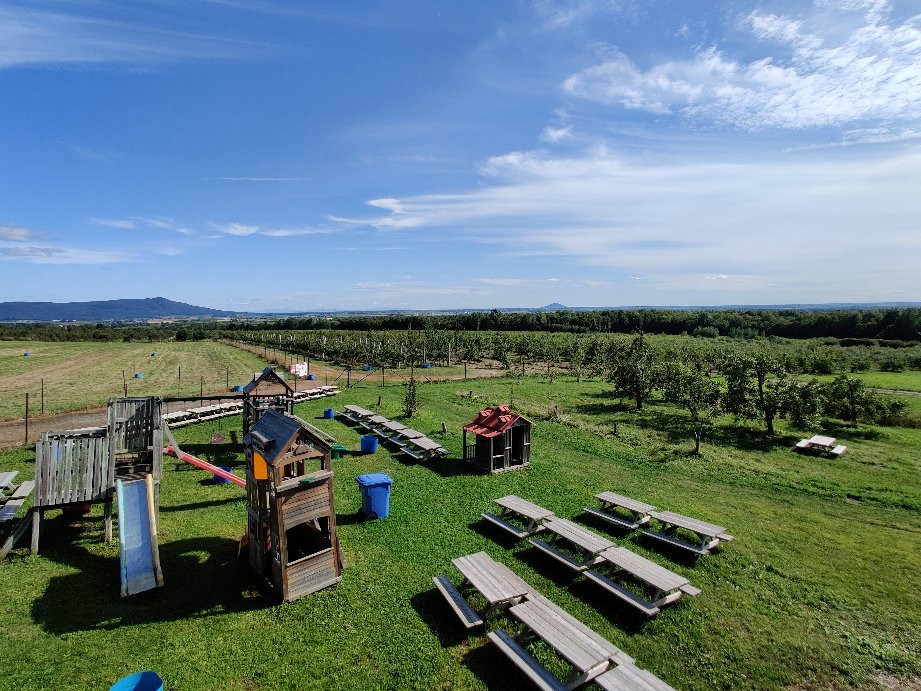 Vergers Petit et Fils-Mont-Saint-Hilaire必去景点