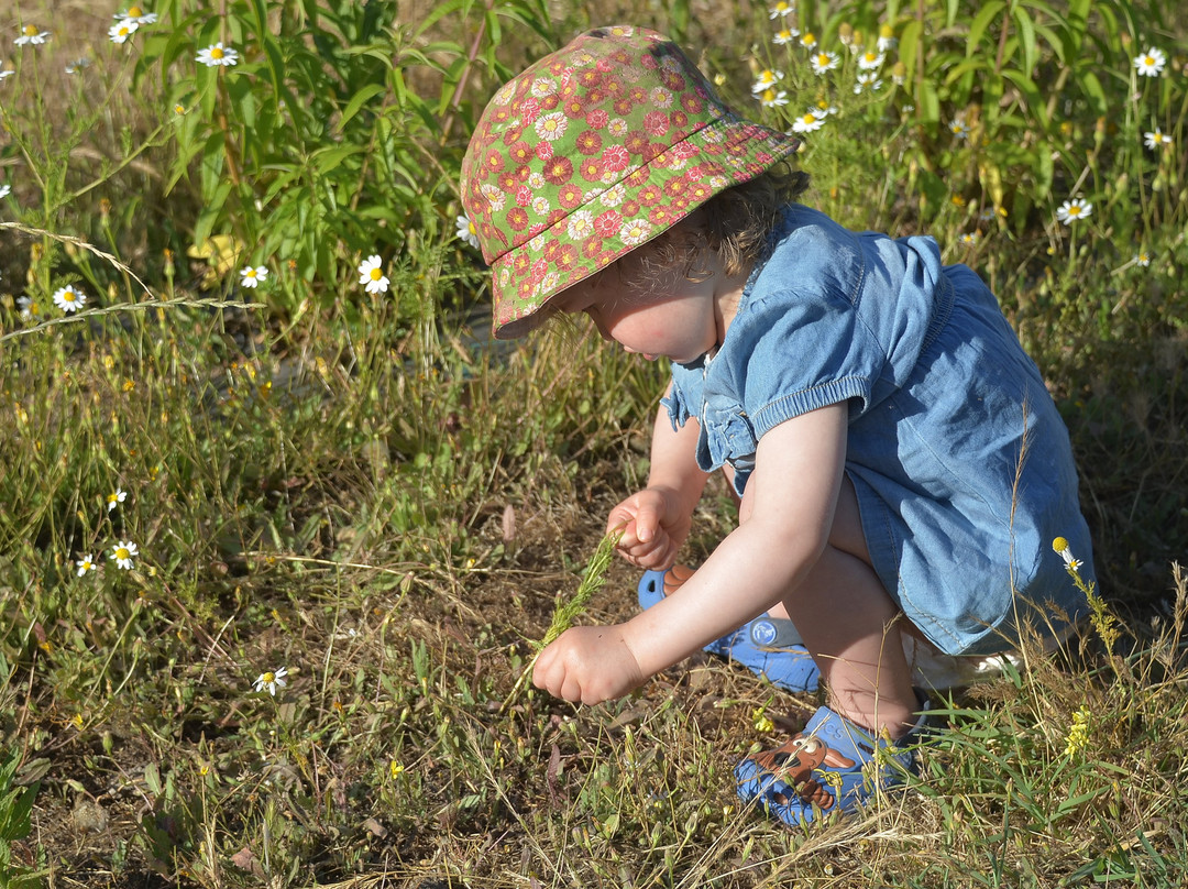 Valle del Arriero-Chimbarongo必去景点
