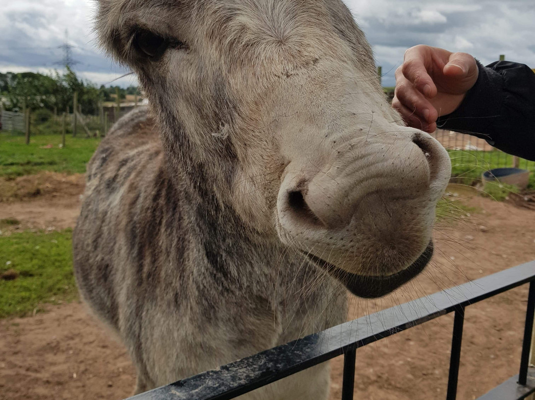 Oak Tree Farm-Stonnall必去景点