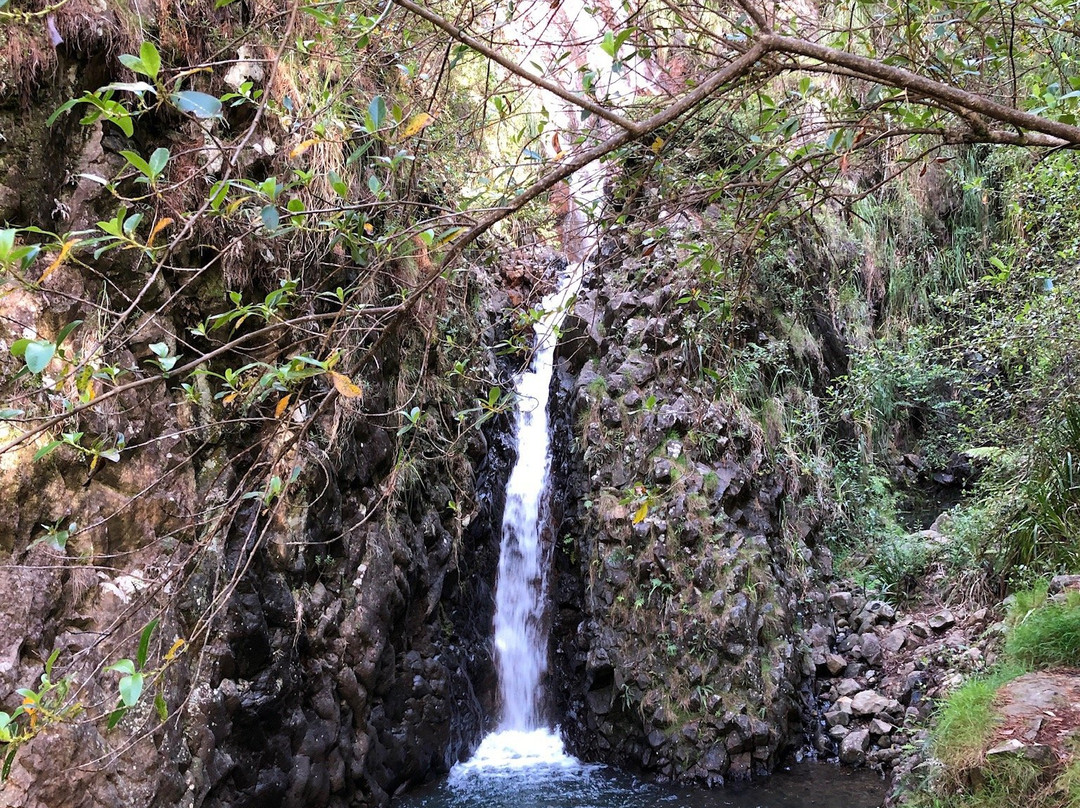 Pauanui Waterfall景点图片