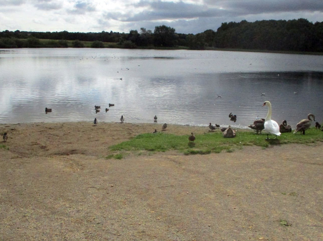 Hetton Lyons Country Park景点图片