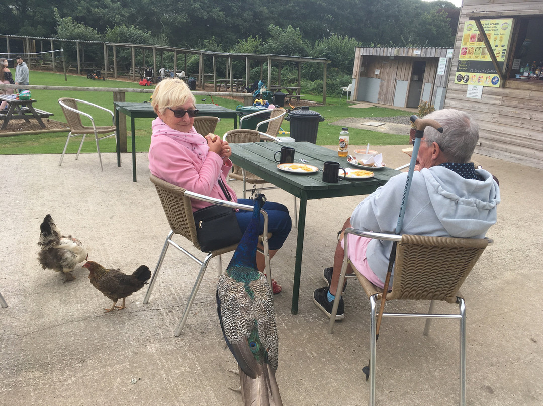 New Mills Farm Park-朗塞斯顿必去景点