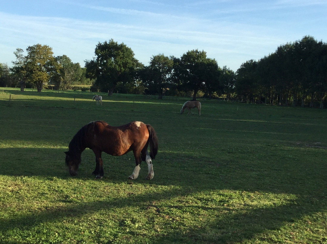 Domaine Le Sablon主图