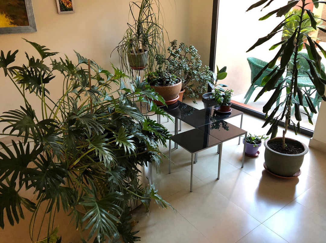 Posada del Almudi主图