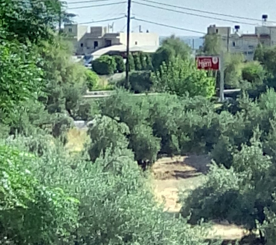 Club Lyda Hotel主图