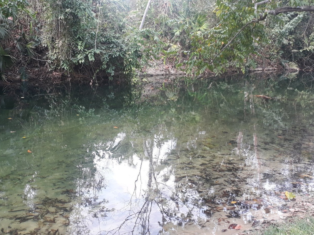 Shanay Timpishka-Pucallpa必去景点