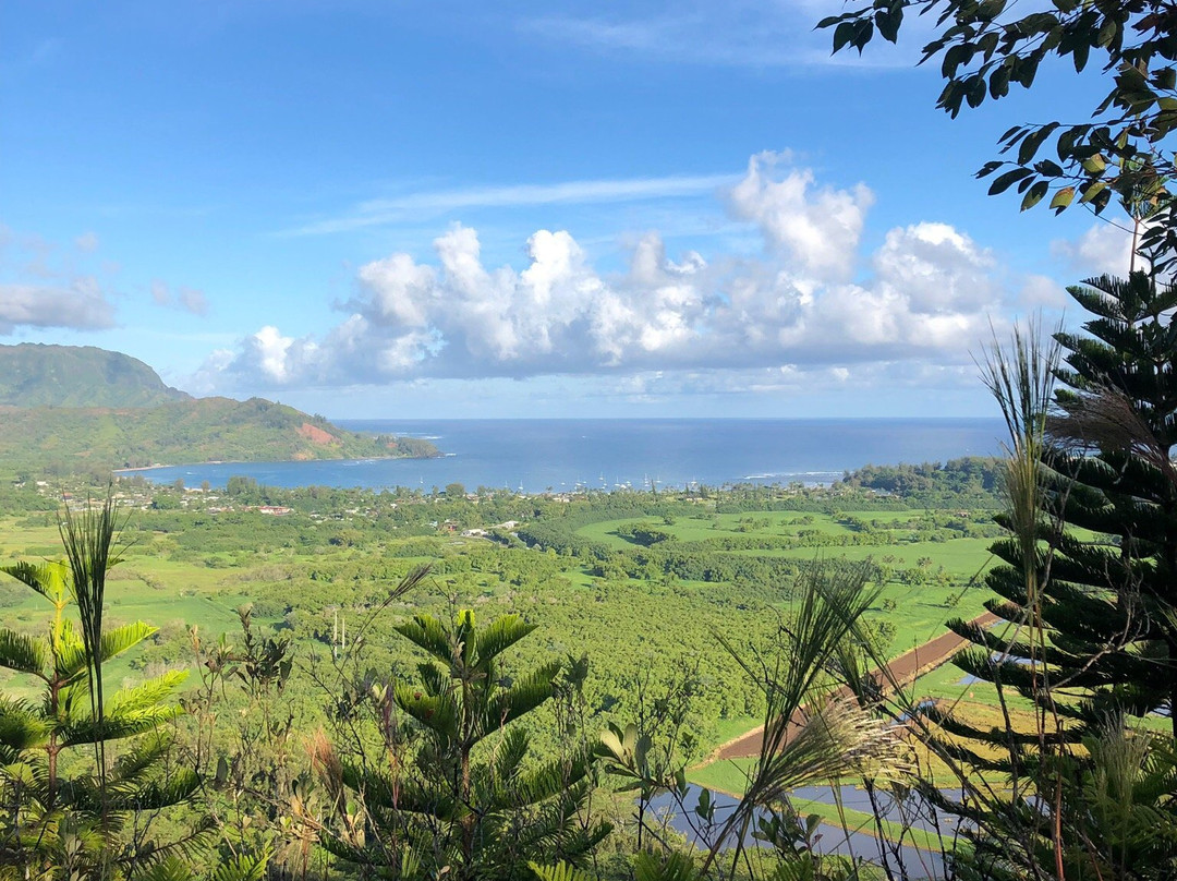 Hike Kauai With Me景点图片