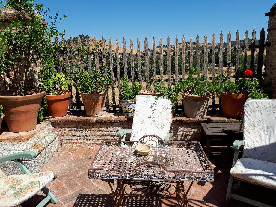 El Palacio De San Benito主图