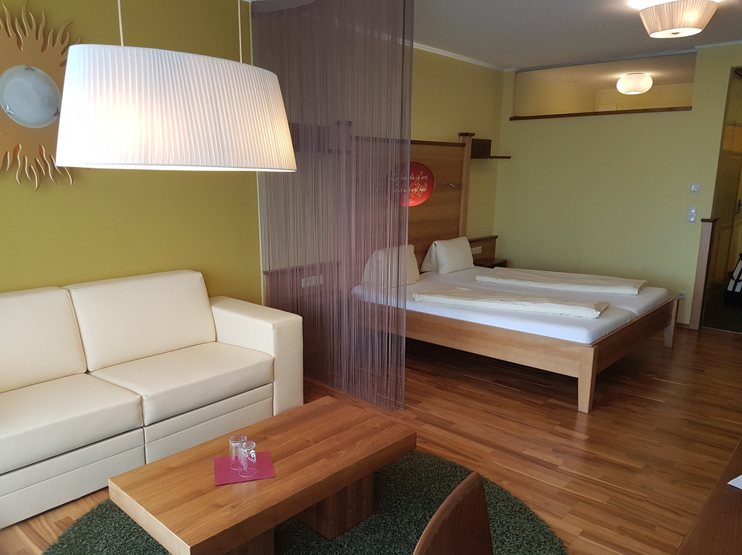 Revita Hotel Kocher主图