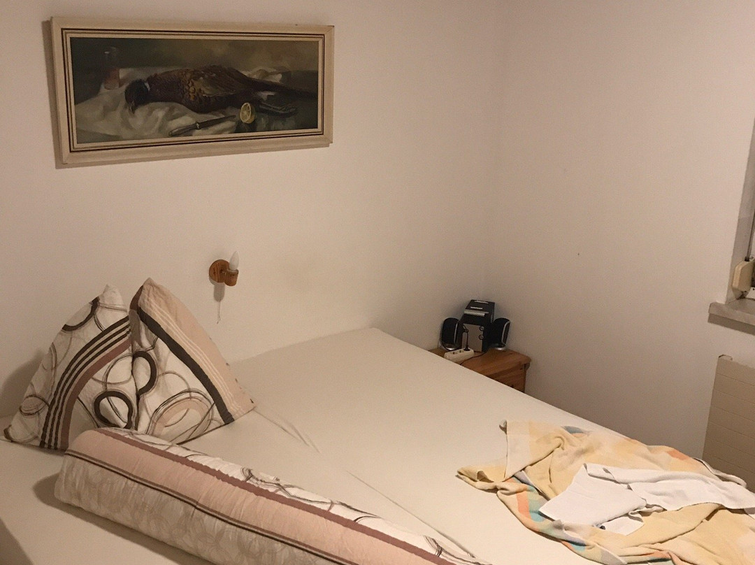 Weinbauer Pension Linz主图